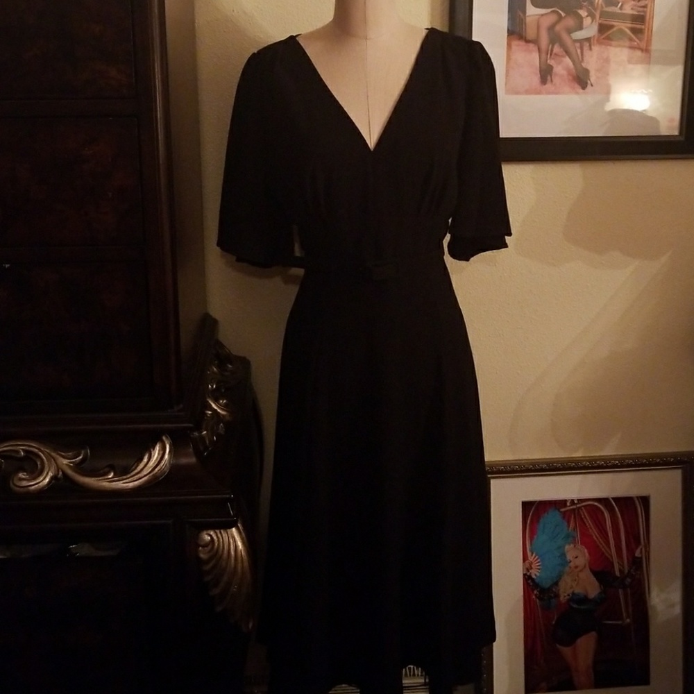 Pinupgirl Clothing dress - Picture 1 of 6